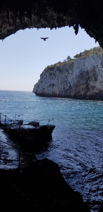 Affittasi Casa Vacanza A Casa Di Emma Leverano Ngoại thất bức ảnh