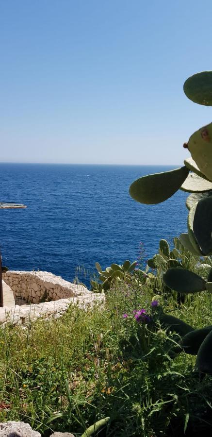 Affittasi Casa Vacanza A Casa Di Emma Leverano Ngoại thất bức ảnh